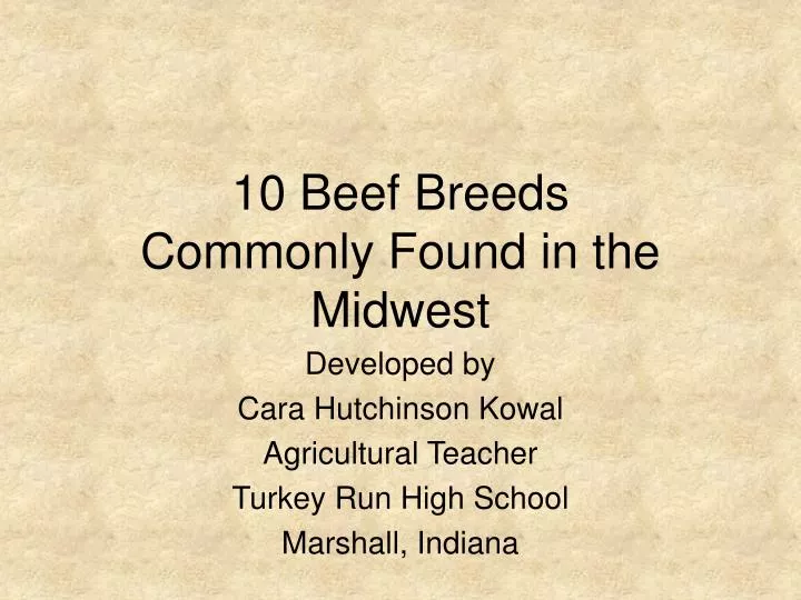 10 beef breeds commonly found in the midwest