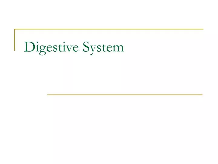 digestive system