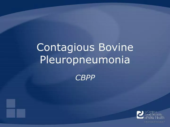 contagious bovine pleuropneumonia