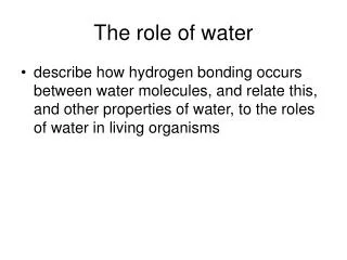 The role of water