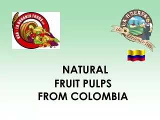 NATURAL FRUIT PULPS FROM COLOMBIA