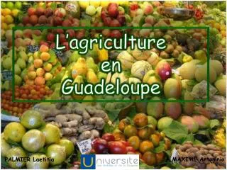 L’agriculture en Guadeloupe