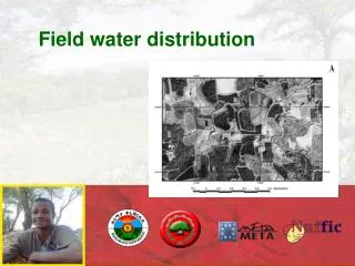 Field water distribution