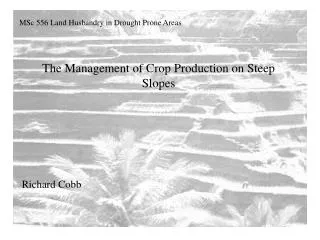 The Management of Crop Production on Steep Slopes