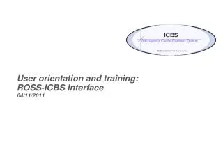 User orientation and training: ROSS-ICBS Interface 04/11/2011
