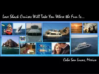 Love Shack Cruises Will Take You Where the Fun Is…