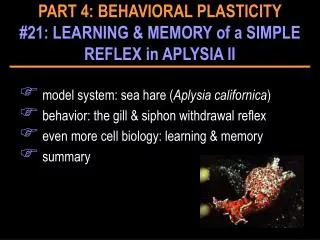 model system: sea hare ( Aplysia californica ) behavior: the gill &amp; siphon withdrawal reflex even more cell biolog