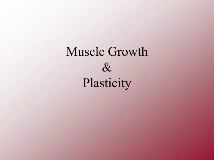 muscle growth plasticity