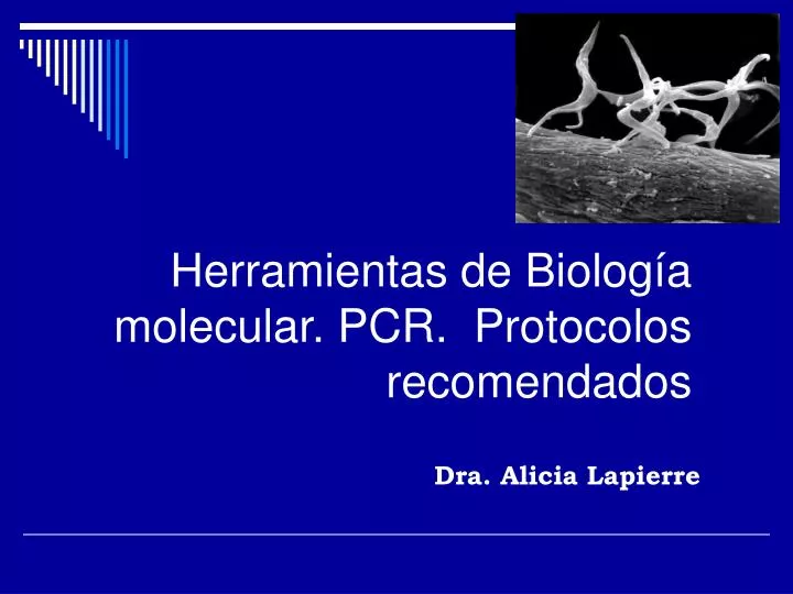 herramientas de biolog a molecular pcr protocolos recomendados