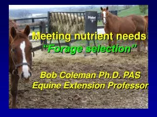 Bob Coleman Ph.D. PAS Equine Extension Professor
