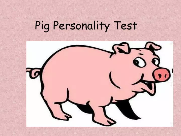 pig personality test