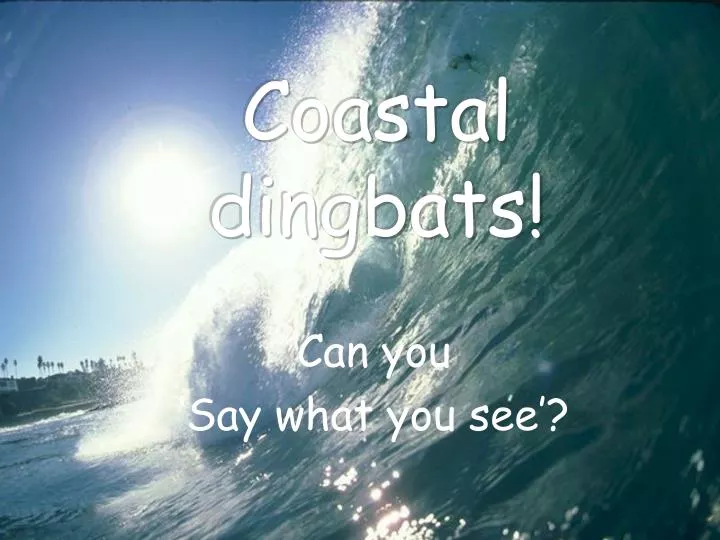 coastal dingbats