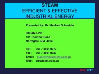 STEAM EFFICIENT &amp; EFFECTIVE INDUSTRIAL ENERGY