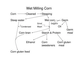 Wet Milling Corn