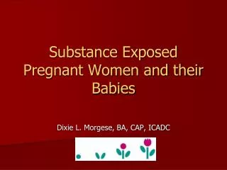 Substance Exposed Pregnant Women and their Babies