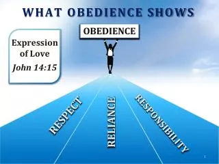WHAT OBEDIENCE SHOWS