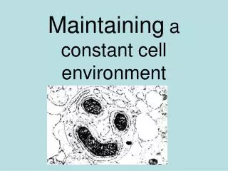 Maintaining a constant cell environment