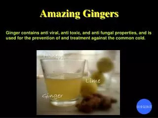 Ginger contains anti viral, anti toxic, and anti fungal properties, and is used for the prevention of and treatment agai
