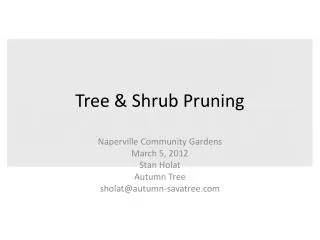 Tree &amp; Shrub Pruning