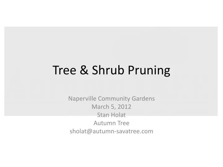 tree shrub pruning