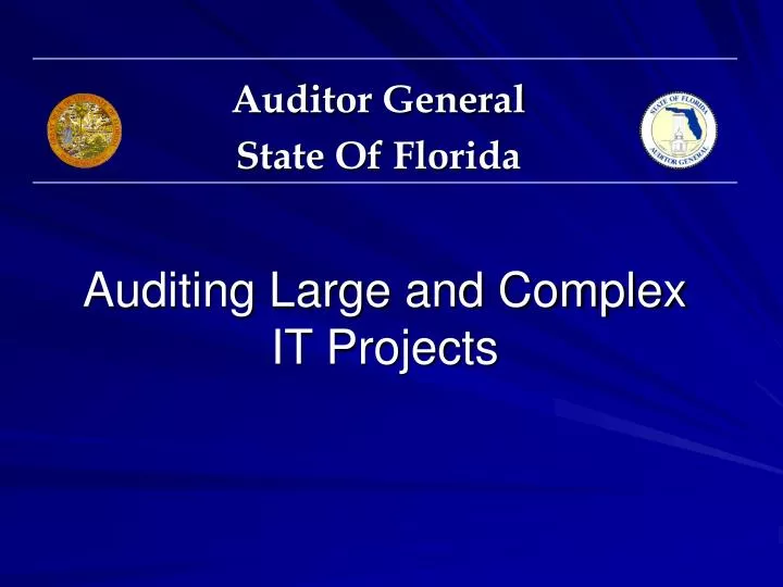 auditing large and complex it projects