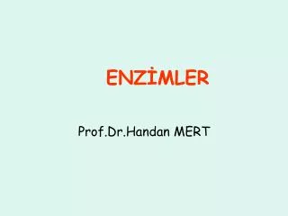 Prof.Dr.Handan MERT