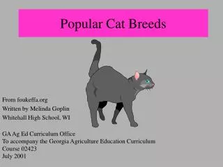 Popular Cat Breeds