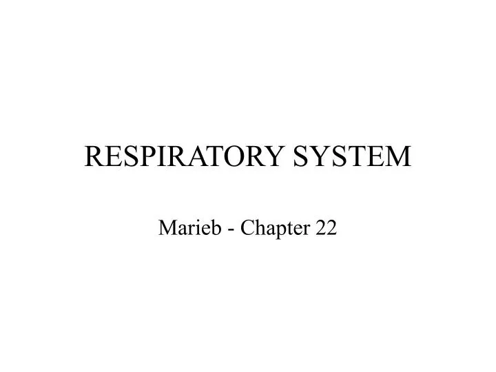 respiratory system