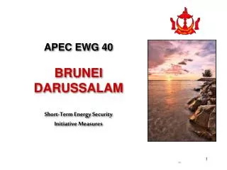 APEC EWG 40 BRUNEI DARUSSALAM Short-Term Energy Security Initiative Measures