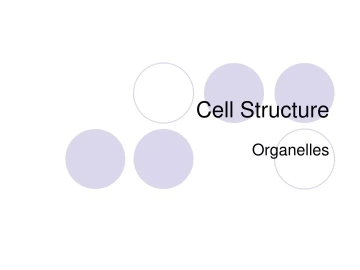 cell structure