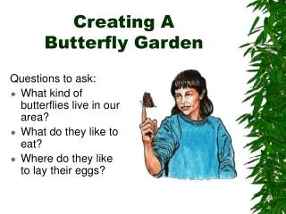Creating A Butterfly Garden