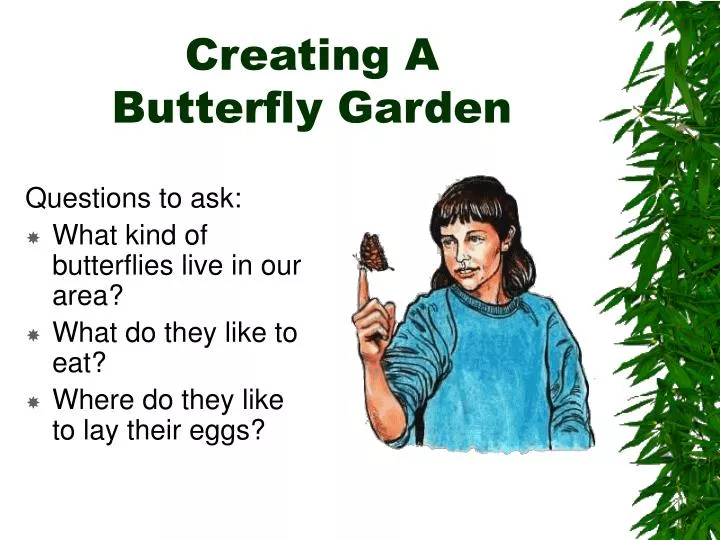 creating a butterfly garden