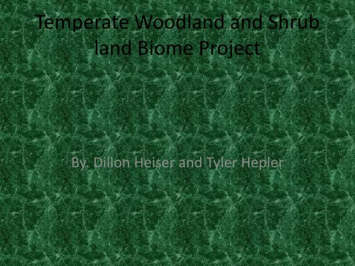 temperate woodland and shrub land biome project