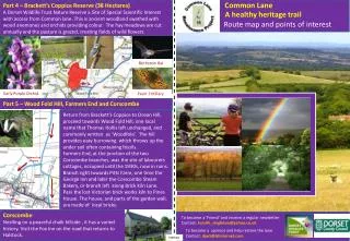 A healthy heritage trail