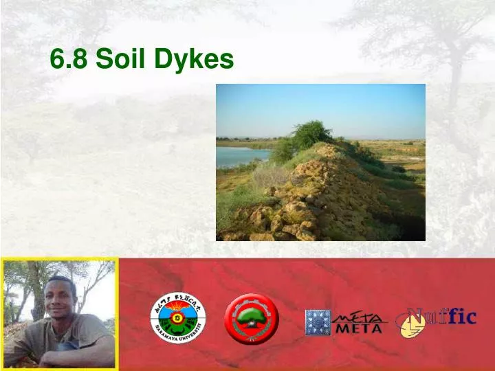 6 8 soil dykes