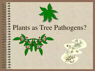 Plants as Tree Pathogens?