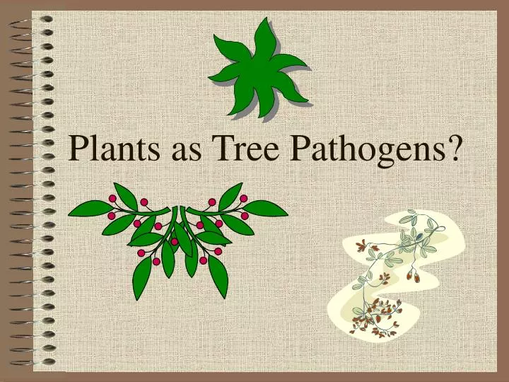 plants as tree pathogens