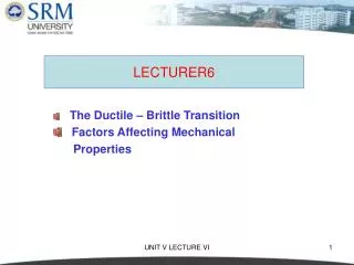 lecturer6