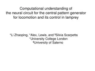Computational understanding of the neural circuit for the central pattern generator for locomotion and its control in l