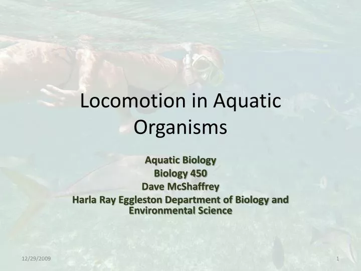 locomotion in aquatic organisms