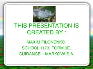 THIS PRESENTATION IS CREATED BY :