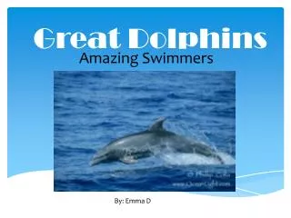 Great Dolphins