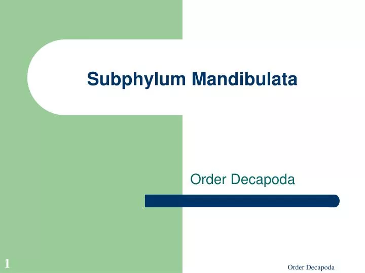 subphylum mandibulata