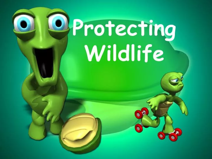 protecting wildlife