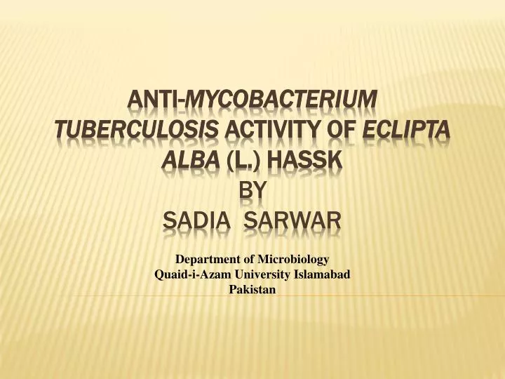 anti mycobacterium tuberculosis activity of eclipta alba l hassk by sadia sarwar
