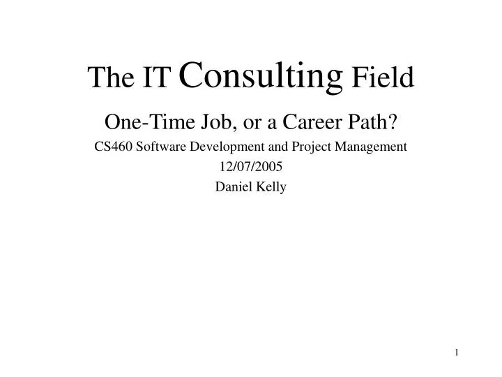 the it consulting field