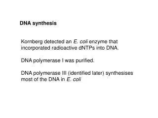 DNA synthesis