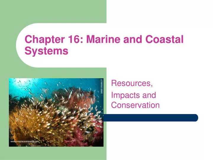 chapter 16 marine and coastal systems