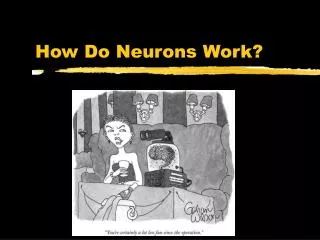 How Do Neurons Work?