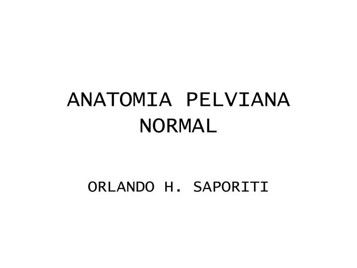 anatomia pelviana normal